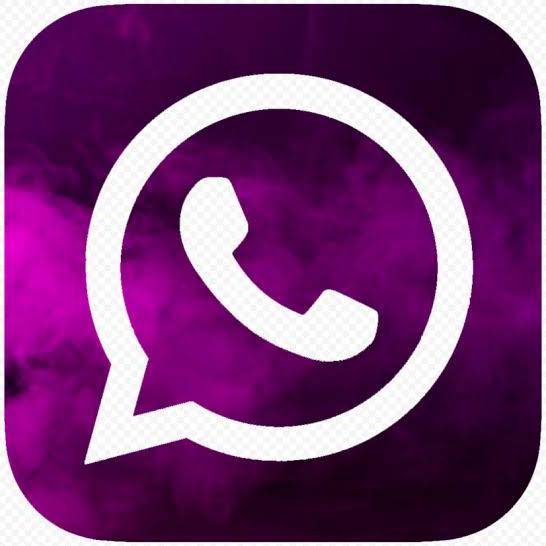 ???? ?????? ?????? ????