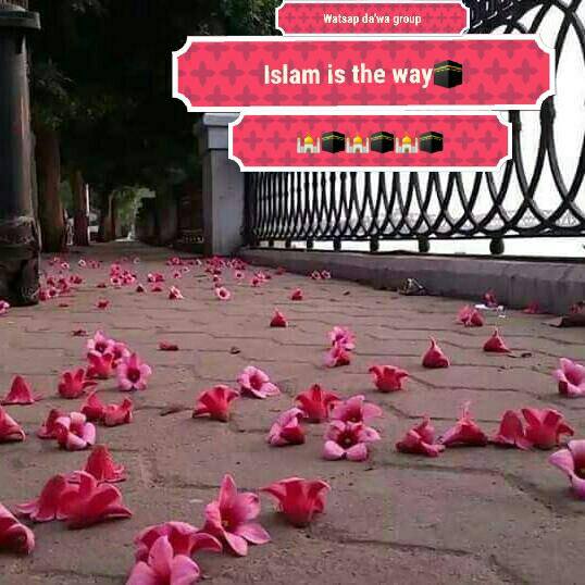 Islam is the way?