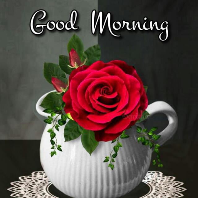 ꧁ ✰??????  ?? ????" ❤︎꧂