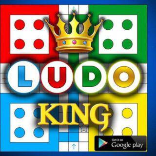 ?LUDO?GROUP?