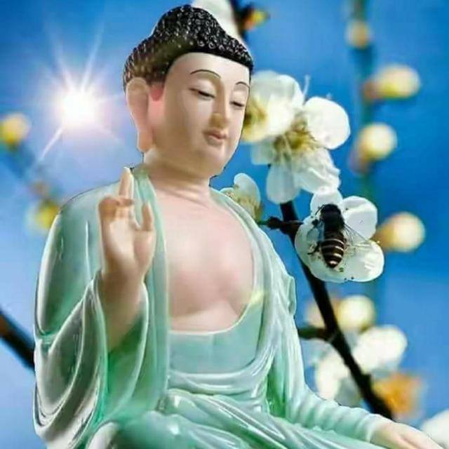 ☸️BUDDHISM☸️