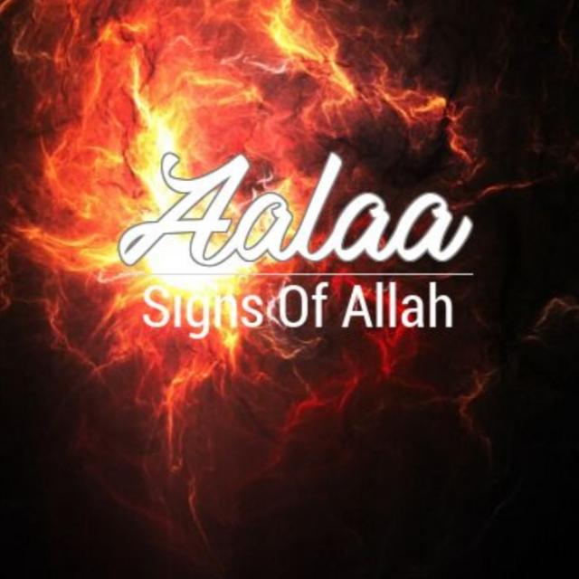 ...?️ALA?️... Online_Store