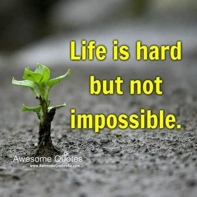 SIKKA KING ONLINE KHAIWAL