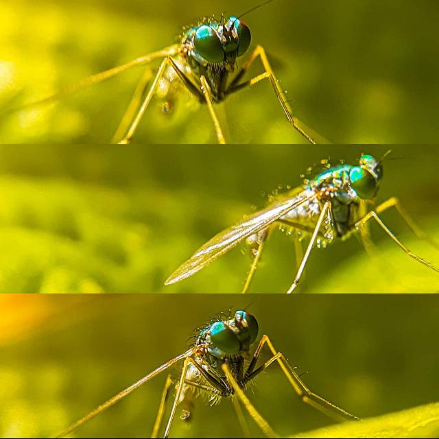 ✨🥰📸 PHOTOGRAPHY UYIR 📸 🥰✨