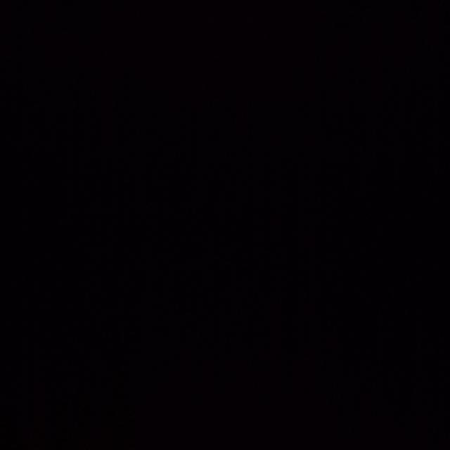 ‼️Group shut down‼️