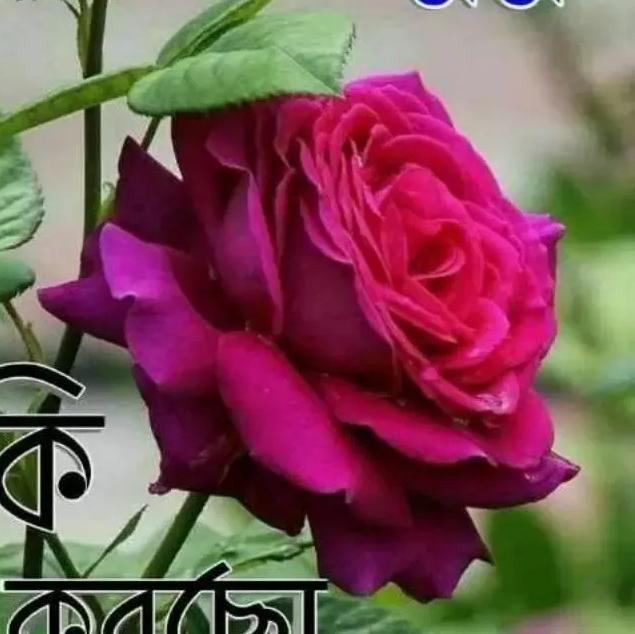 Namo mission again 2k19