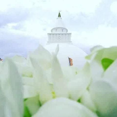 බෞද්ධයා