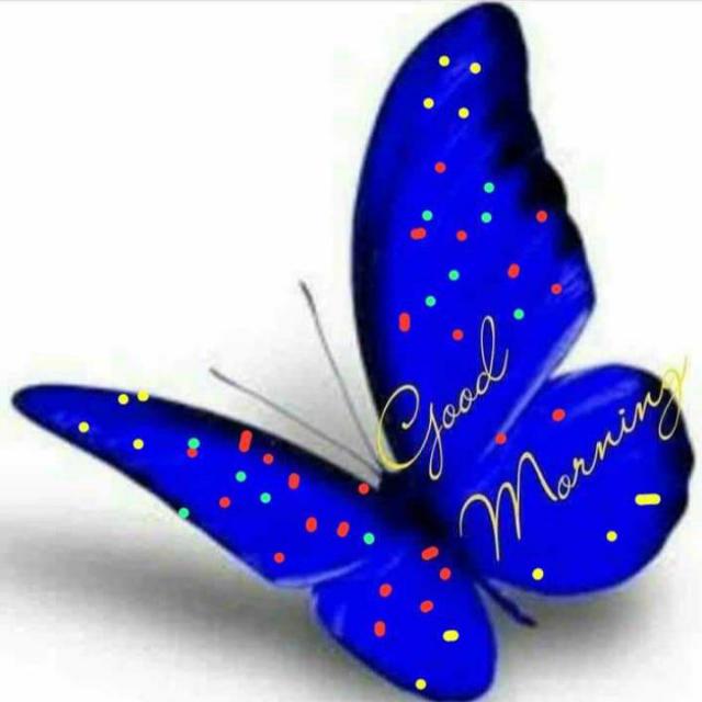 ?പൊന്നരി പൂക്കൾ??