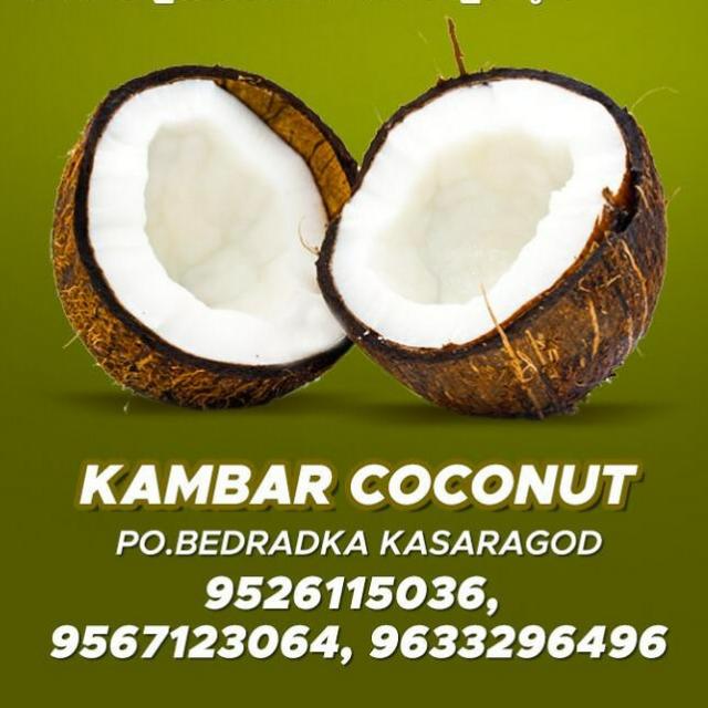 🥥Kambar coconuts🥥