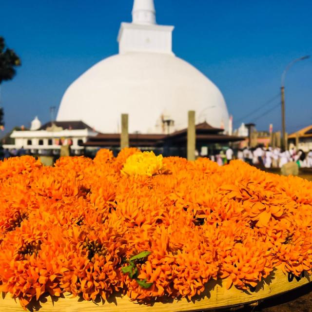 සිත නිවමු