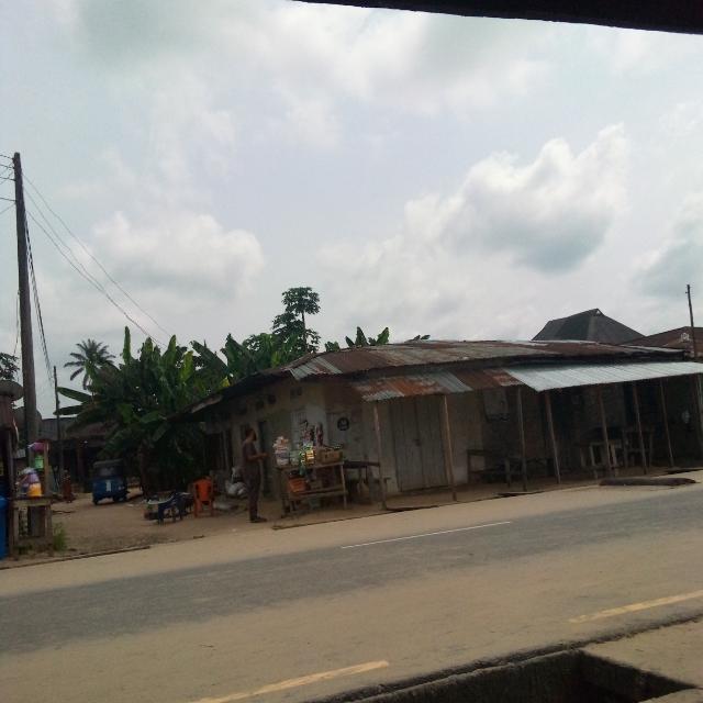 කොල්ලෝ කෙල්ලෝ