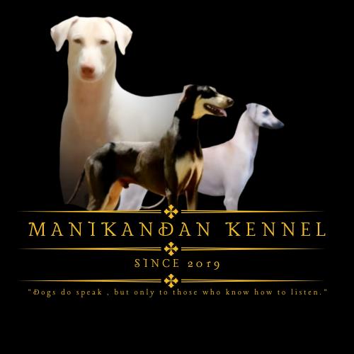 ★?????????_???_?????? -2★