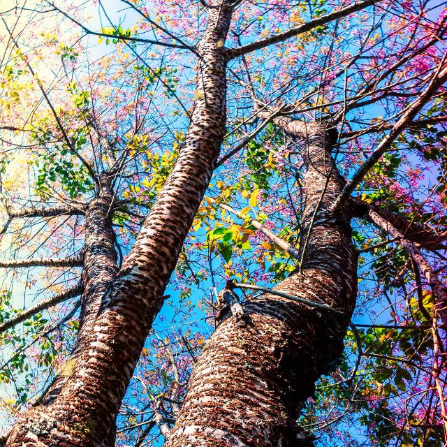 life is not joking???