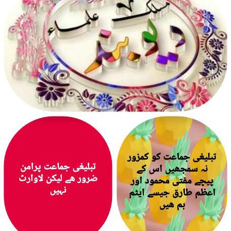 زلفی بخاری ایکسپریس