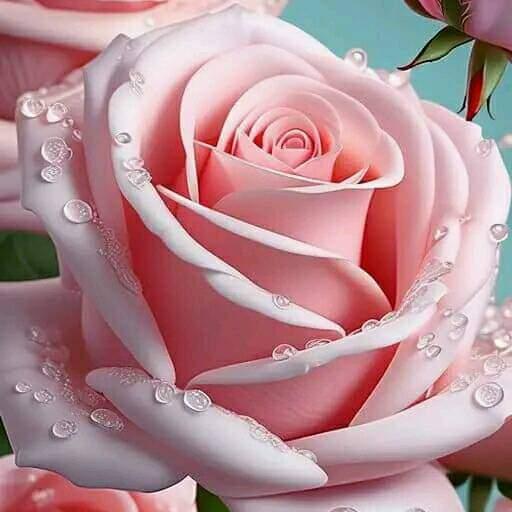 Facebook id ruchika choudhury bikaner