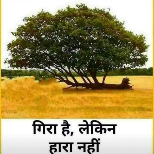 ??? ????? ??? ?????????10