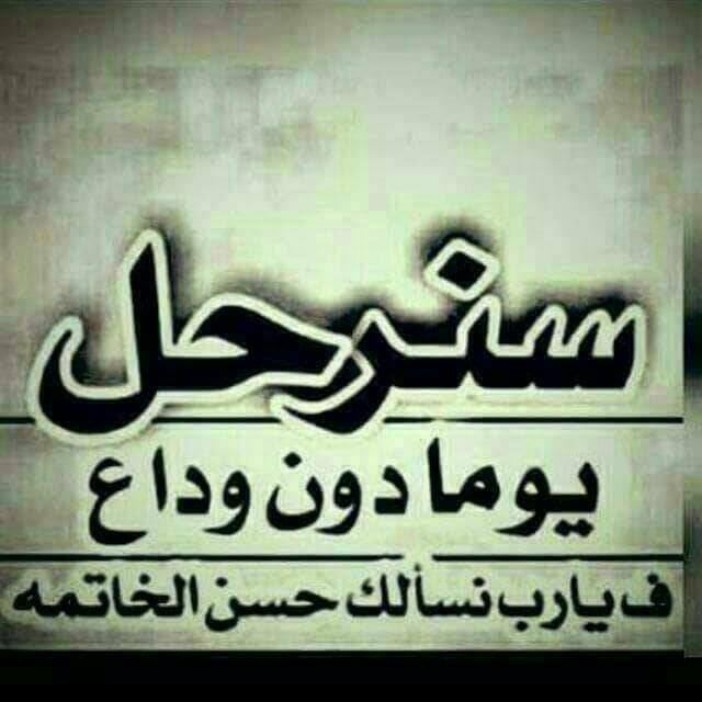 نبض.الحروف