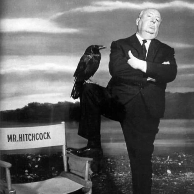 സെല്ലിലോയ്ഡ് ✌️