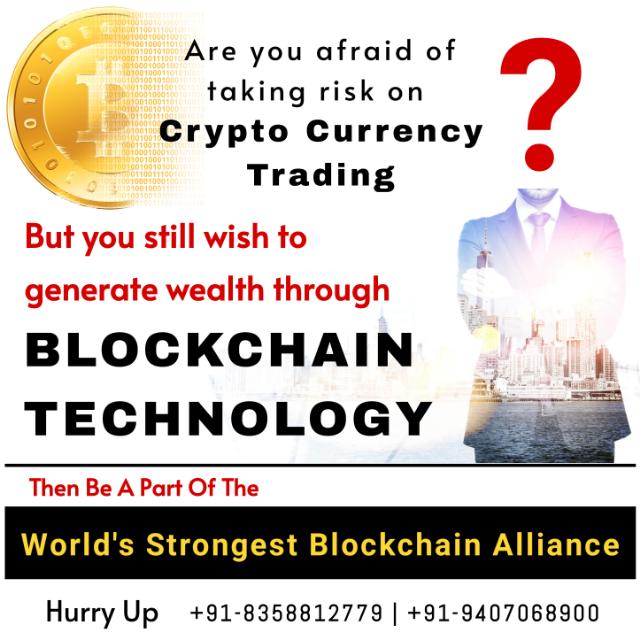 ✅ Team Synergy Network ?