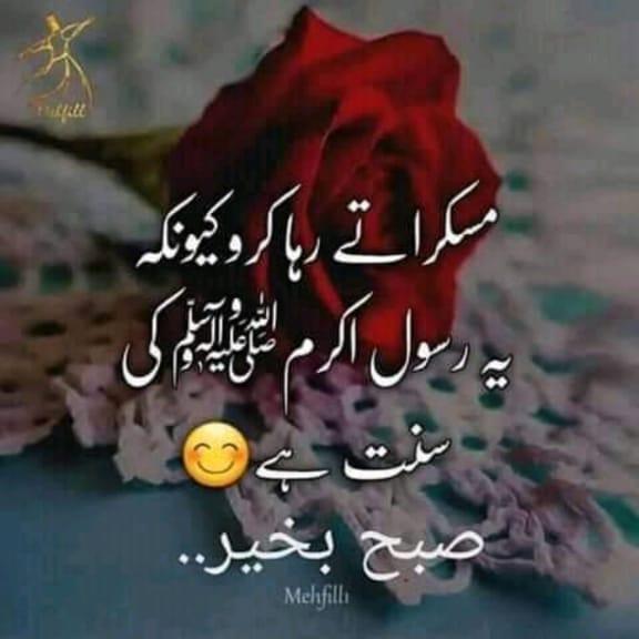 پاکستانی خبریں 🇵🇰
