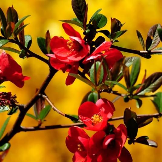 ★᭄➤⃟?iFe⭐i?°??্᭄͜͡&nbsp;⃟??EAM