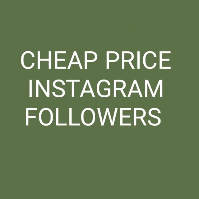 INSTAGRAM SERVICE FOR FOLLOWERS 