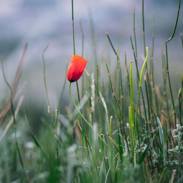  sub to sub group(1)  sl sindu lokaya