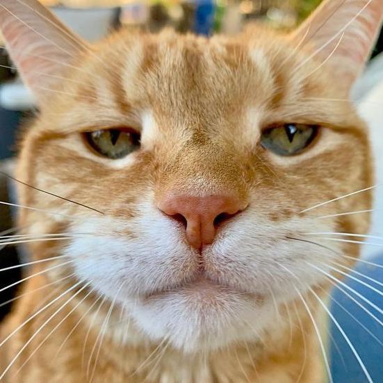 JB|| JOJO CRUEL X OWN¹ ??