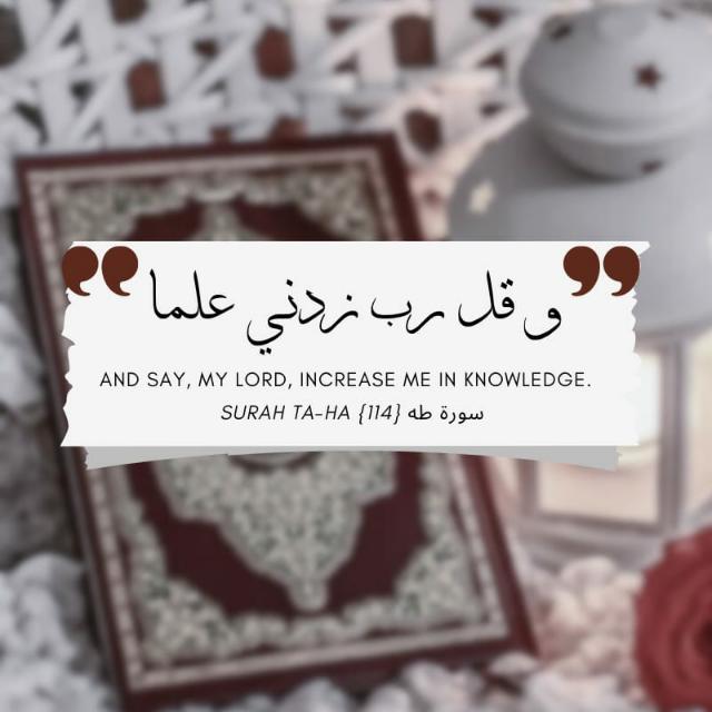 Muslim Brothers around the world