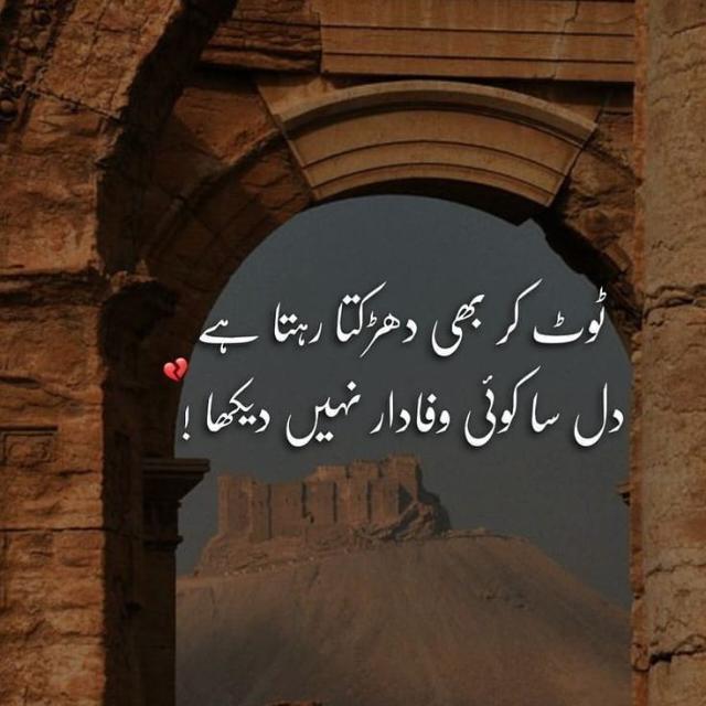 All leekd video allwo ❤?