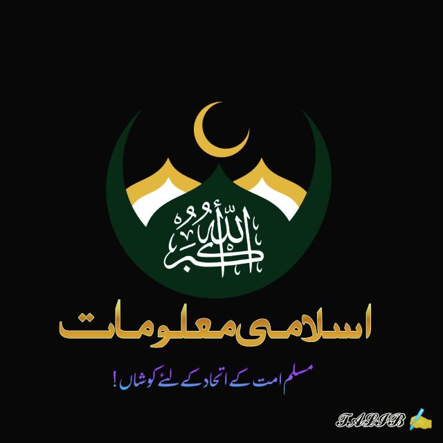 🌹🌹اسلامی معلومات🌹🌹