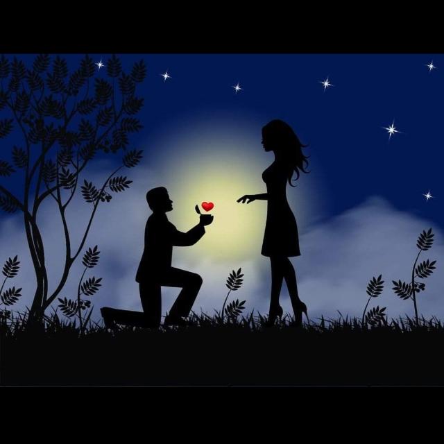 ❀???????? ?????? ❀