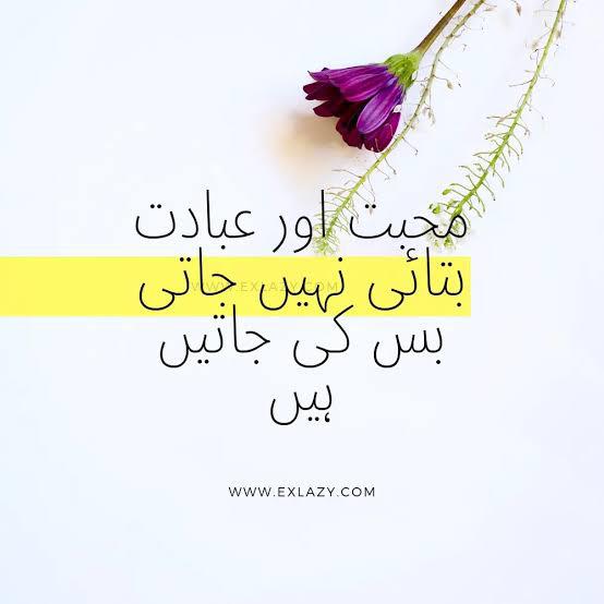 اھل ذوق🥰