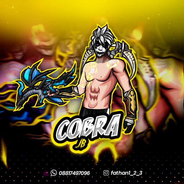 STOCK COBRA STORE × DWI 1