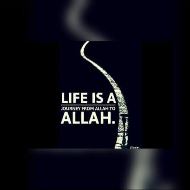 ❣️Ummat-e-muslimah❣️