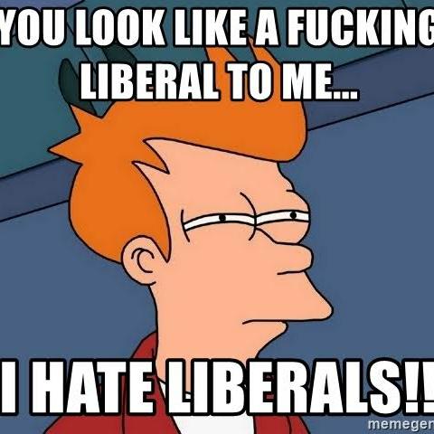 Liberals vs Conservatives