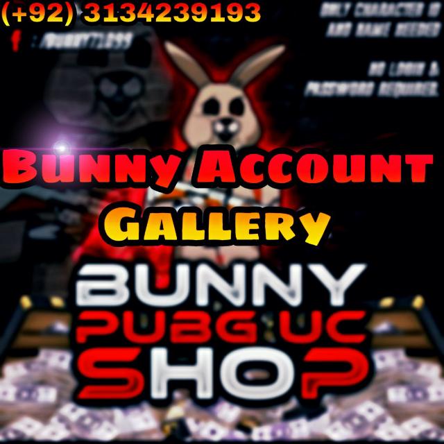Bunny Accounts Gallery