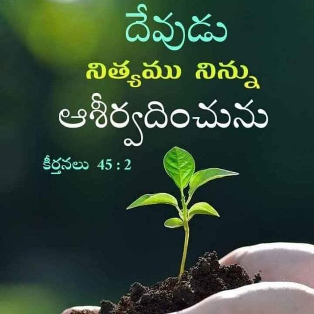 The passion of Christ@2