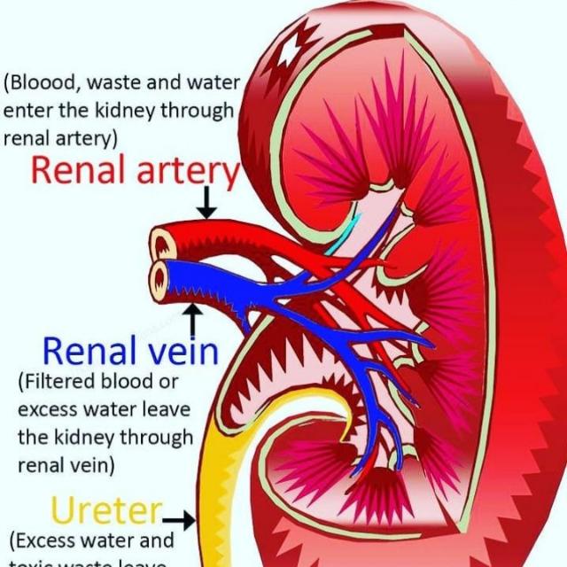 ???? ||?????|| ????-??.❤️