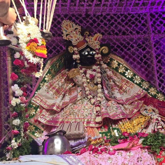Shri Radha pyari Shri banke Bihari group daily darshan