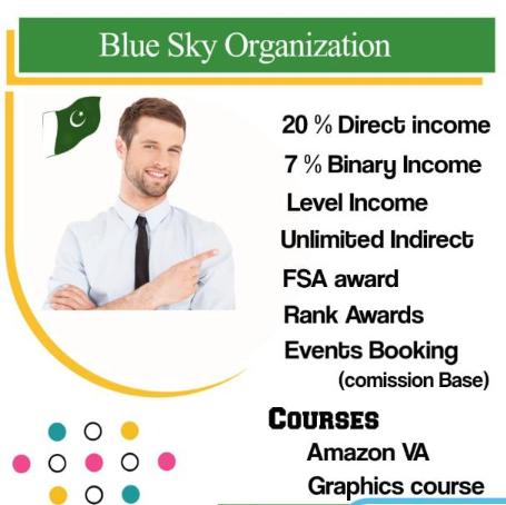 🌏BLU SKY ONLINE EARNING🌏
