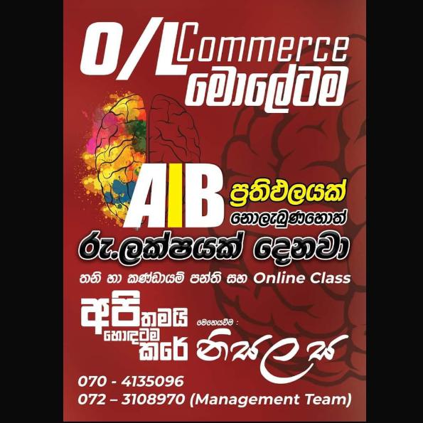 O/L Commerce group 02