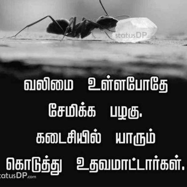 ?தமிழ்நாடு வேலைவாய்ப்பு?