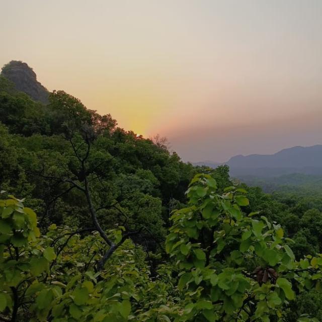 Win money  prediction ??