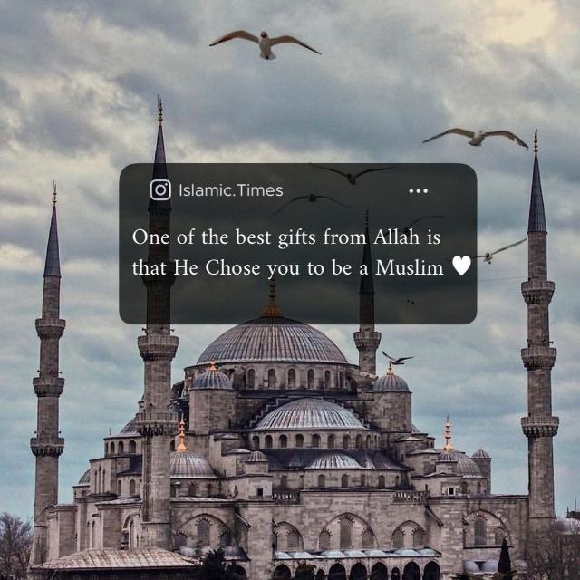 ♡︎??? ????????? ?????❤︎