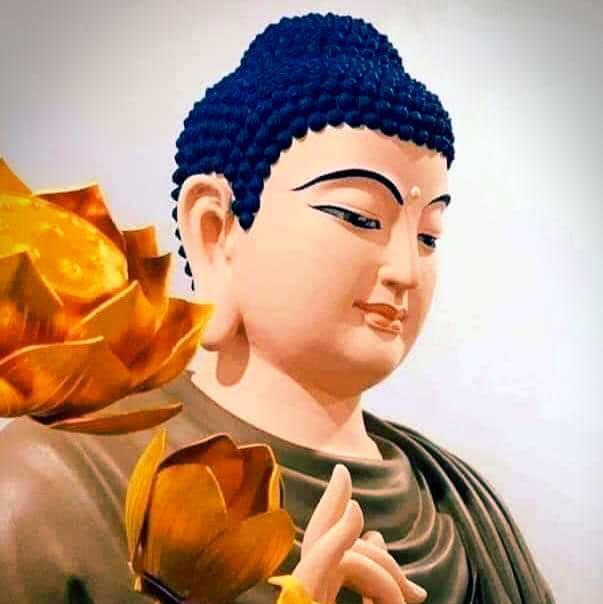 ☸️ දහම තුළින් බුදුන් දකිමු🛐