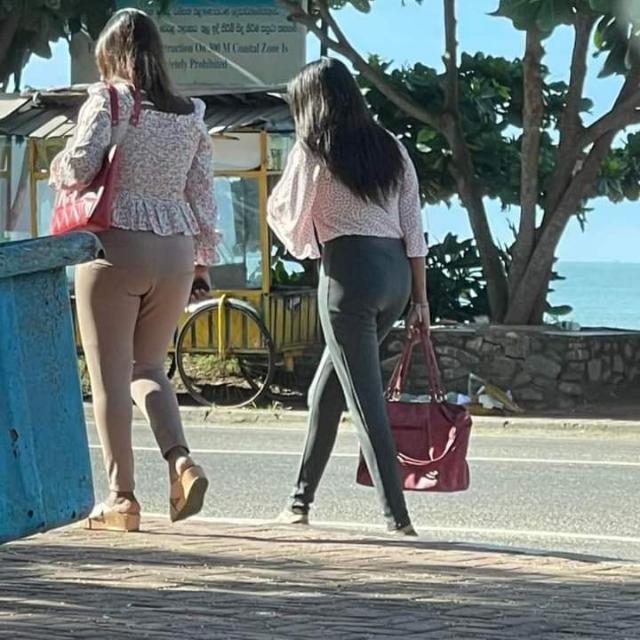 ?පාරේ දකින ෆට්ට කදවල්:|?✨