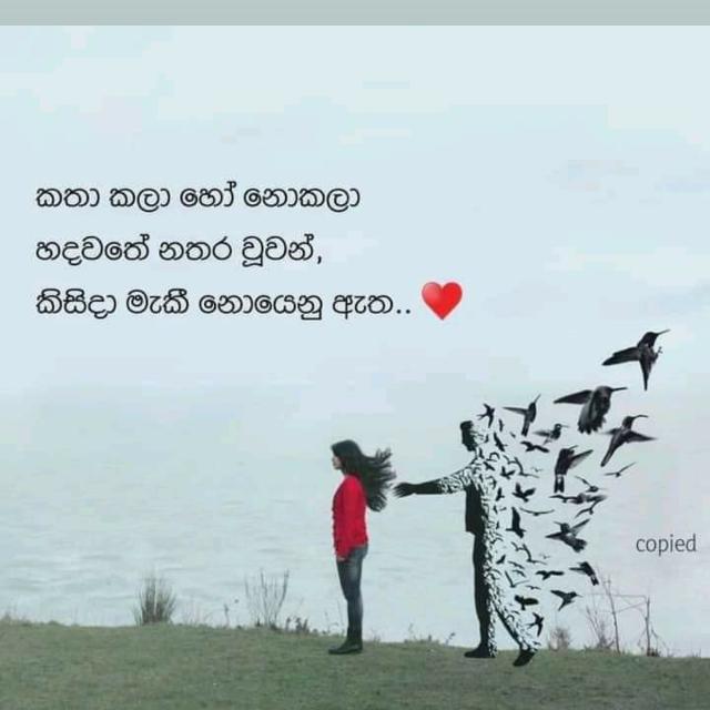 Friends zone 😍
