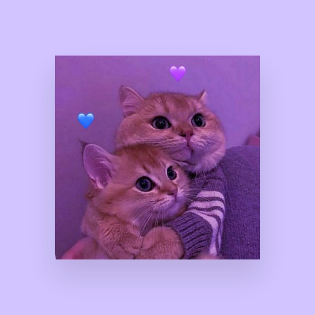 ❤️ ???? ??????? ❤️