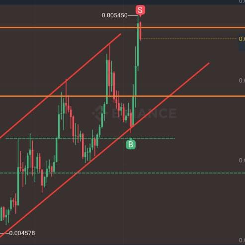 ?₿ Free Signal Group ₿? 2